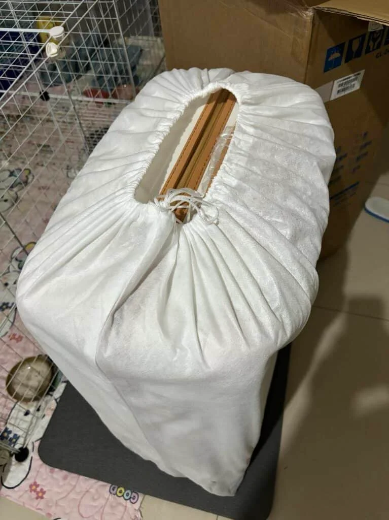 dailybiojuan-germany-prepare-visual-2