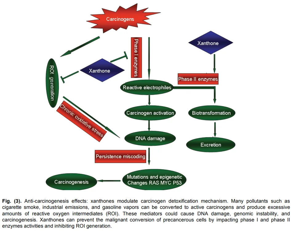 dailybiojuan-riway-stem-cell-visual-5
