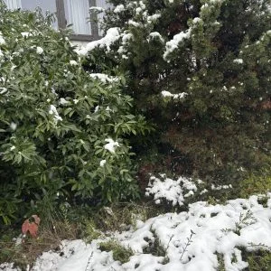 dailybiojuan-germany-life-visual-41