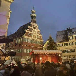 dailybiojuan-germany-life-visual-52