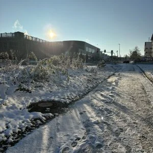 dailybiojuan-germany-life-visual-62