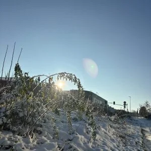 dailybiojuan-germany-life-visual-63