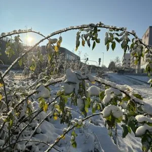 dailybiojuan-germany-life-visual-64