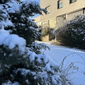 dailybiojuan-germany-life-visual-65