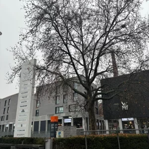 dailybiojuan-germany-life-visual-108