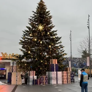 dailybiojuan-germany-life-visual-110