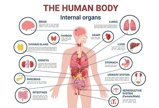 dailybiojuan-advanced-biotech-visual-2