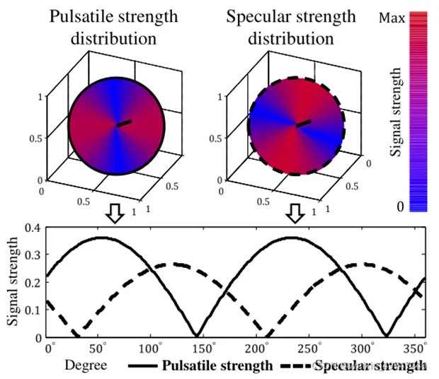 dailybiojuan-rppg-visual-17